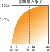 脳重量の伸び